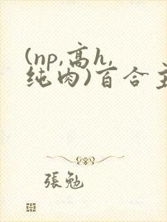 (np,高h,纯肉)百合主受gl