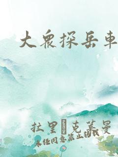 大众探岳车图