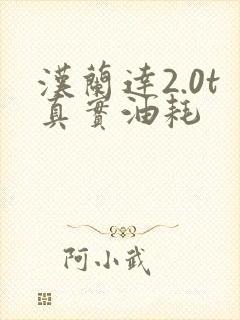 汉兰达2.0t真实油耗