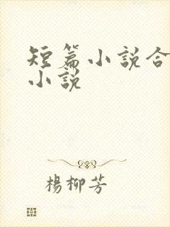 短篇小说合集 小说