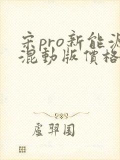宋pro新能源混动版价格 宋pro新能源混动版价格