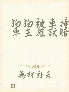 狗狗被车撞死了车主应该赔偿吗?