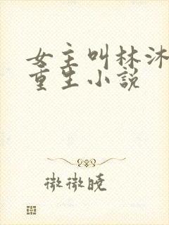女主叫林沐瑶的重生小说