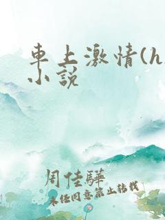 车上激情(h)小说 车上激情(h)小说
