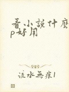 看小说什么app好用