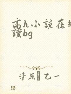 高h小说在线阅读bg