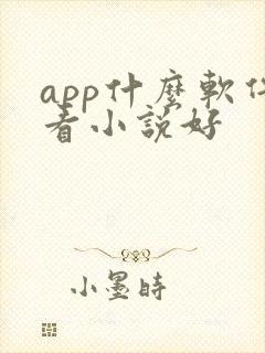 app什么软件看小说好