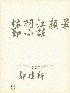 林羽江颜最新章节小说