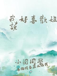 我好喜欢姐姐小说