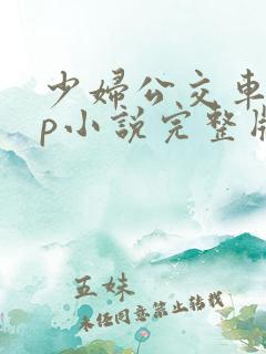 少妇公交车上3p小说完整版