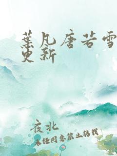 叶凡唐若雪王婿更新