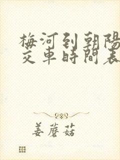 梅河到朝阳镇公交车时间表