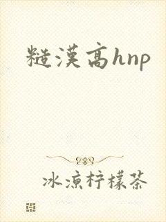 糙汉高hnp