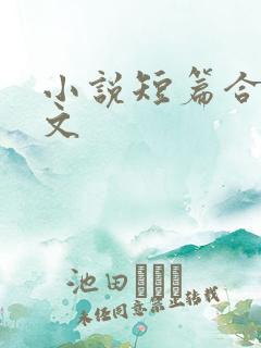 小说短篇合集辣文