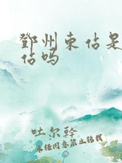 邓州东站是高铁站吗