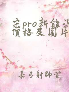 宋pro新能源价格及图片报价