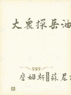 大众探岳油表