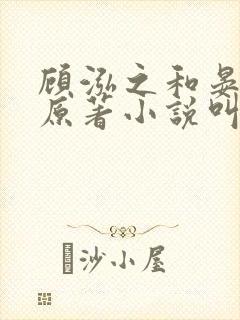 顾泓之和晏扶微原著小说叫什么 顾泓之和晏扶微原著小说叫什么