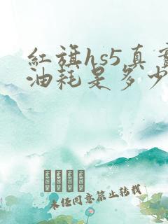 红旗hs5真实油耗是多少