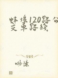 蚌埠120路公交车路线