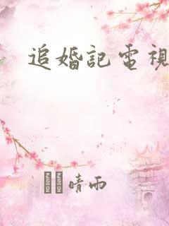 追婚记电视剧