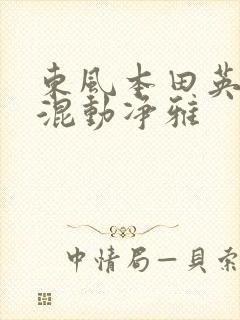 东风本田英仕派混动净雅