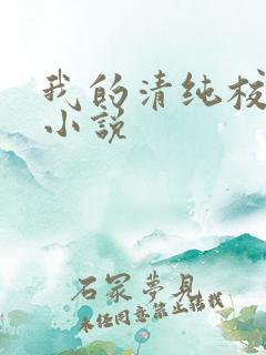 我的清纯校花 小说