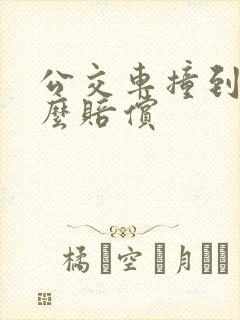 公交车撞到人怎么赔偿