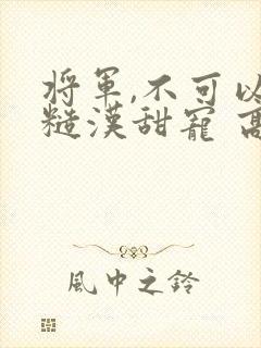将军,不可以(糙汉甜宠 高h