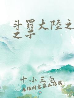 斗罗大陆之七怪之子