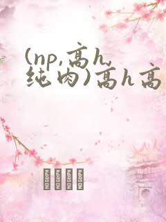 (np,高h,纯肉)高h高辣男男