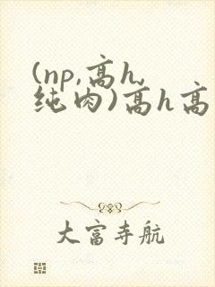 (np,高h,纯肉)高h高辣文 (np,高h,纯肉)高h高辣文