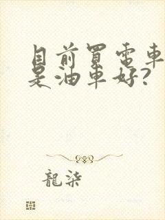 目前买电车好还是油车好?