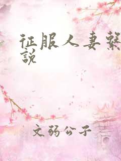 征服人妻系列小说