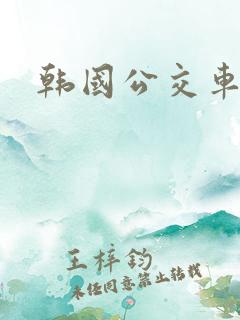 韩国公交车上 韩国公交车上