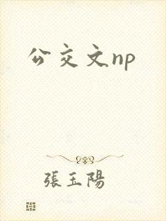 公交文np