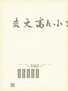 爽文高h小说