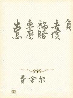 出车祸去负全责怎么赔偿