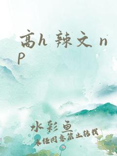 高h 辣文 np 高h 辣文 np