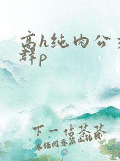 高h纯肉公交车群p