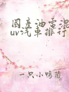 国产油电混动suv汽车排行榜前十名