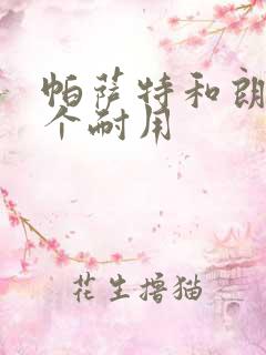 帕萨特和朗逸哪个耐用 帕萨特和朗逸哪个耐用