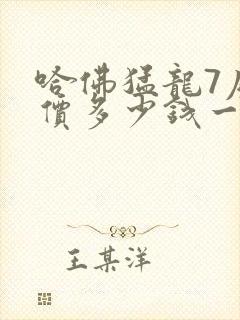 哈佛猛龙7座售价多少钱一辆