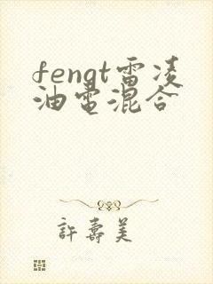 fengt雷凌油电混合 fengt雷凌油电混合