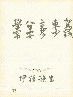 学公交车驾驶证需要多少钱