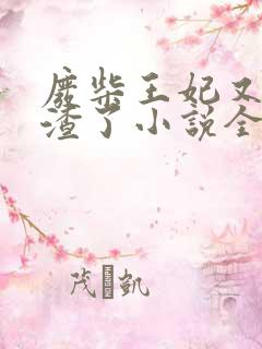 废柴王妃又在虐渣了小说全文免费阅读 废柴王妃又在虐渣了小说全文免费阅读