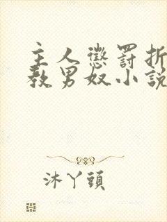主人惩罚折磨调教男奴小说
