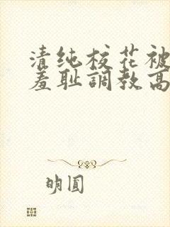 清纯校花被民工羞耻调教高h