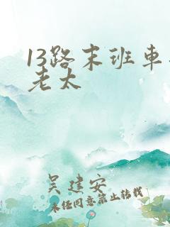 13路末班车邱老太
