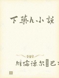 下药h小说